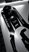 Rawr Mantis 72v Rear Fender Decal