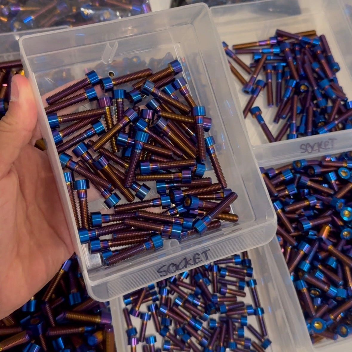 MXD Talaria Horn Plastic Bolts (set of 3)