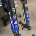 MXD Fork Guard Titanium Bolts (All Emoto)